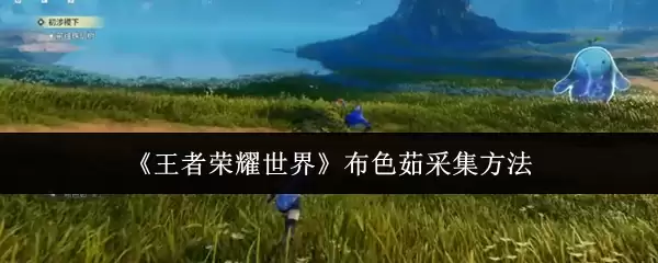 ��������ҫ���硷��ɫ��ɼ�����