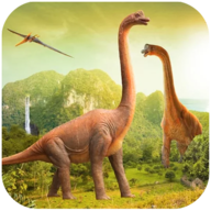 ����ģ����