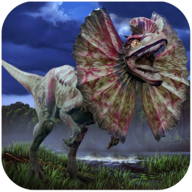 ˫����ģ����