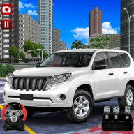 ������ͣ����ģ����