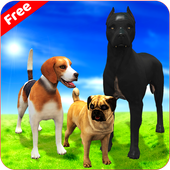 С�����ﹷģ����2021