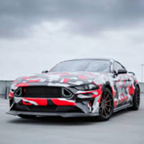 ͣ����˾��