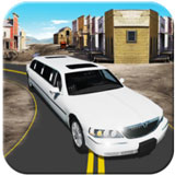 �����γ���ʻģ����