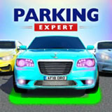 ������ͣ����