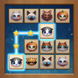 ��ש����