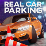 ����������ͣ����