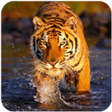 �ϻ��Ĺ���