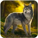 �ǵ�ģ����