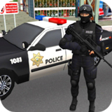 ������ʻģ����