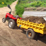 �����������Ƴ�