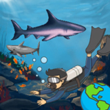 ��������