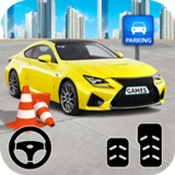 ͣ������