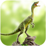 �����ģ����