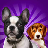 Ȯ��ģ����3D