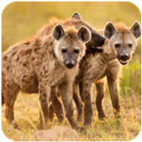 �๷�Ĺ���