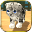 ����èģ����