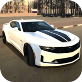 �ִ�ͣ����