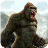 ������ģ��