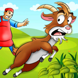 ���ɽ���ܿ�