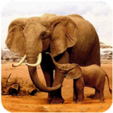 ����ģ��