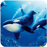 ����ģ��