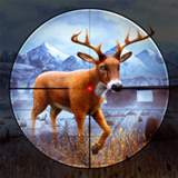 ������¹2016