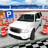 ������ͣ����