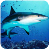 ������ģ��