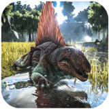 �����ģ����