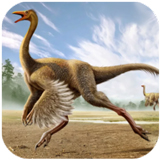 ����ģ����