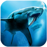 ̫½��ģ����