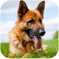 �¹�����Ȯģ����