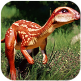 ����ģ����