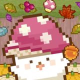 �����ĺ決����