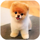 ����Ȯģ����