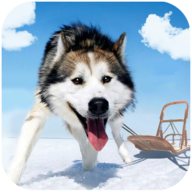 ����˹��ѩ��Ȯģ����