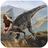 ��צ��ģ����