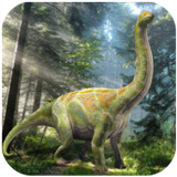 ����͢��ģ����