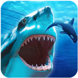 ����ģ��