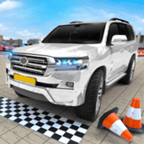 ������ͣ����