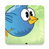 ����ɭ��