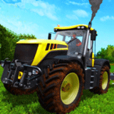 ���������Ƴ�ģ����ũ��