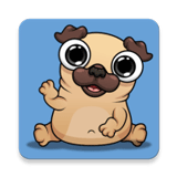 �ҵĳ��ﹷ��