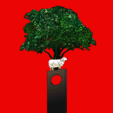 ��ʱ����