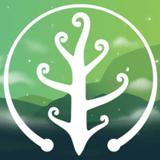 ��������ɫ��֯