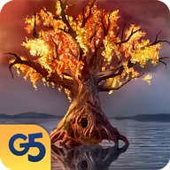 ����Ů�׵�����