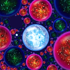 �������ɽ���