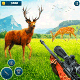 ��¹�ˣ�Ұ��������Ϸ 2022