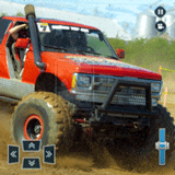 �ཬ���� 4x4 ���￨��