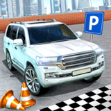 ������ͣ����